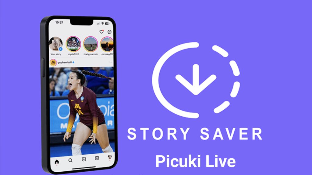 Instagram Story Saver
