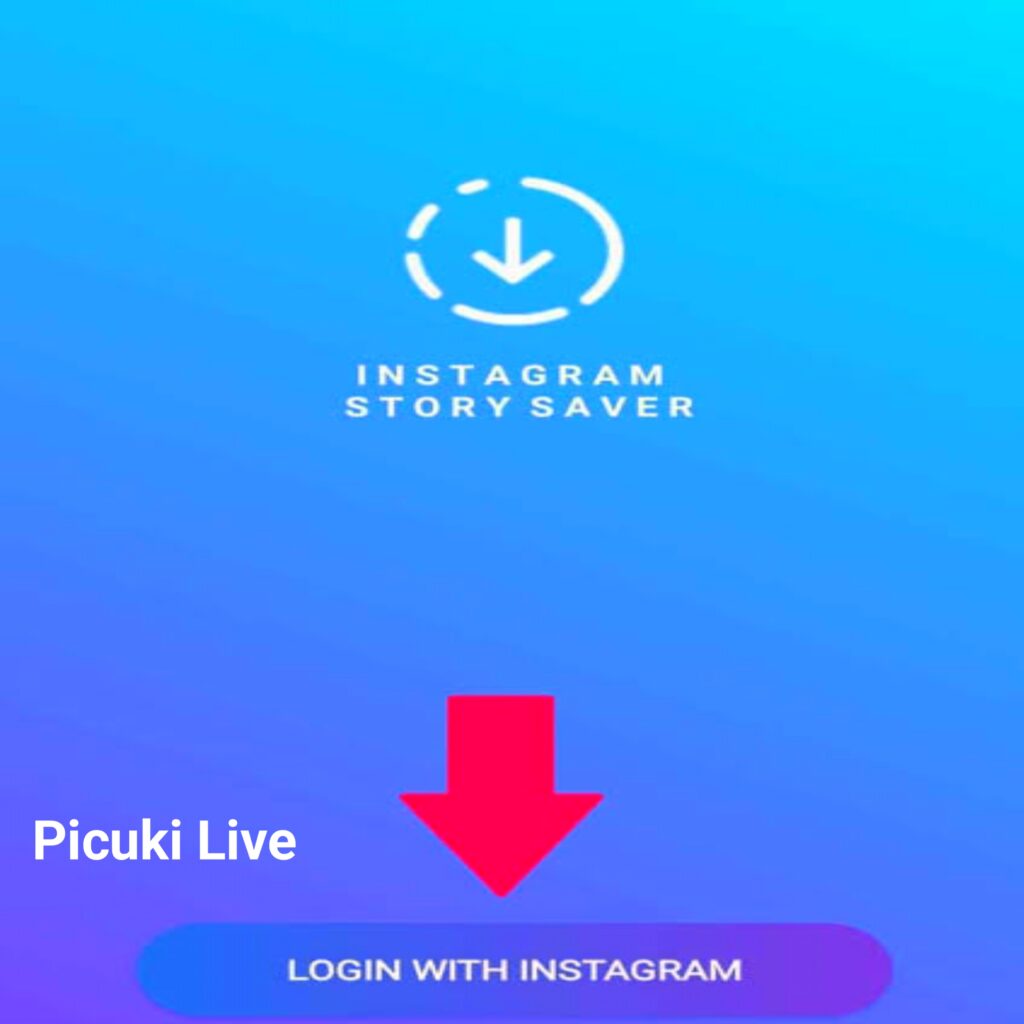 Instagram Story Saver