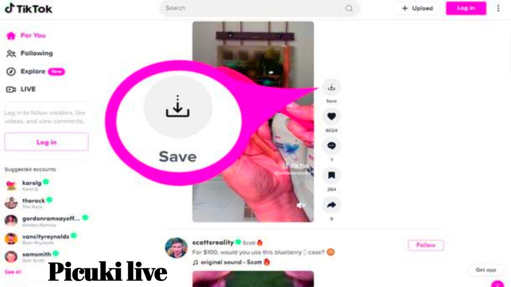 TikTok Downloader 