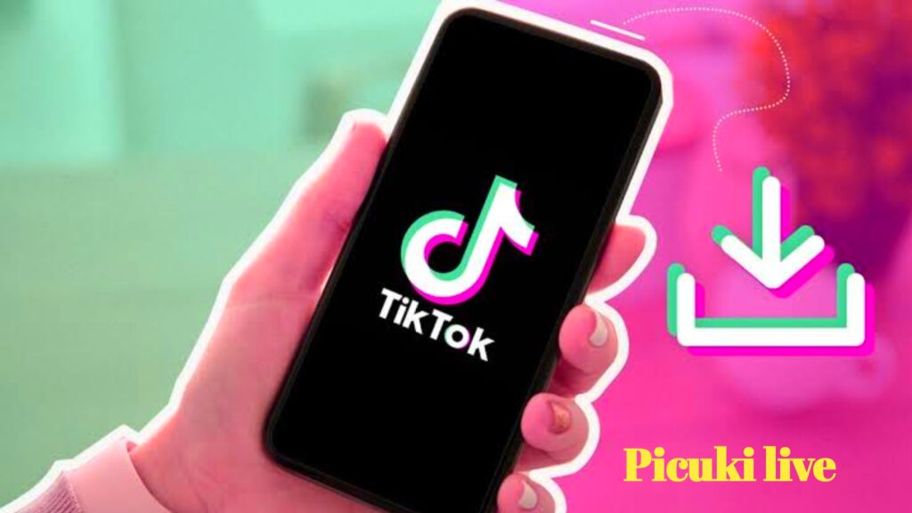 TikTok Downloader 